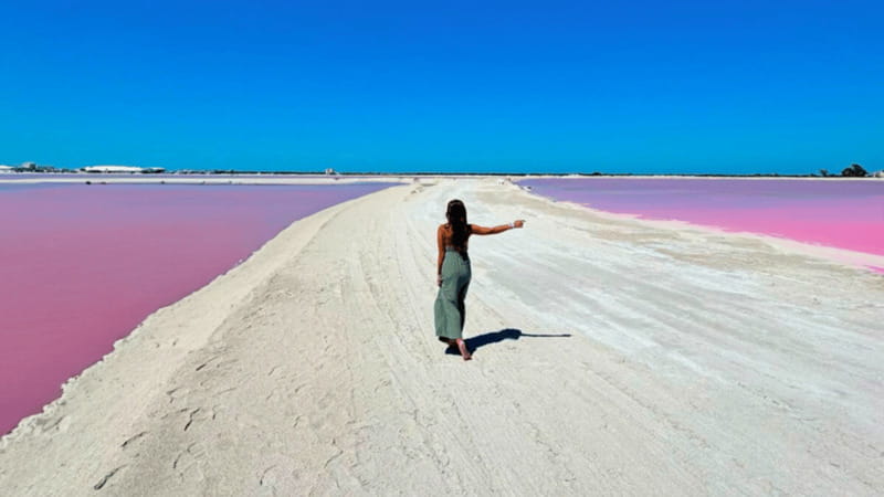 Riviera Maya: Rio Lagartos & Las Coloradas Day Trip w/Lunch - How the 12-hour itinerary feels from Tulum, Playa del Carmen, or Riviera Maya