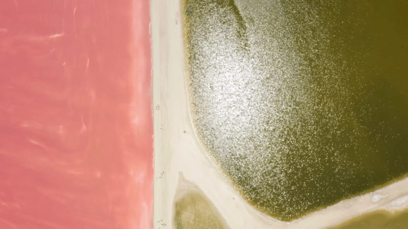 Riviera Maya: Rio Lagartos & Las Coloradas Day Trip w/Lunch - The Mayan Bath clay ritual: what happens and how to plan your rinse