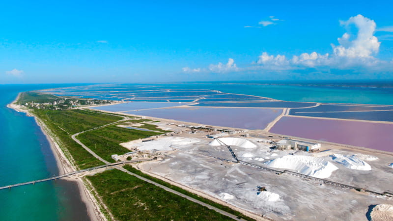 Riviera Maya: Rio Lagartos & Las Coloradas Day Trip w/Lunch - Price and value: what the $104 covers, plus the extra fees you should budget