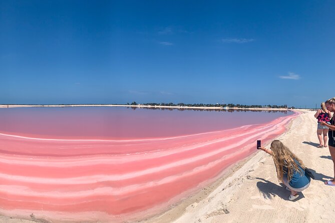 Safari in Rio Lagartos, Coloradas and Mayan Bath - Key things to know before you go