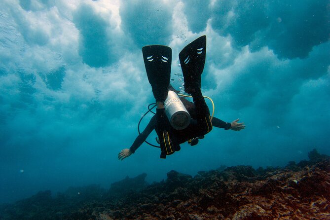 Scuba Diving (1st time) in Cancun Beginner's WELCOMED! - Why MUSA + the MesoAmerican Reef Work So Well for Beginners