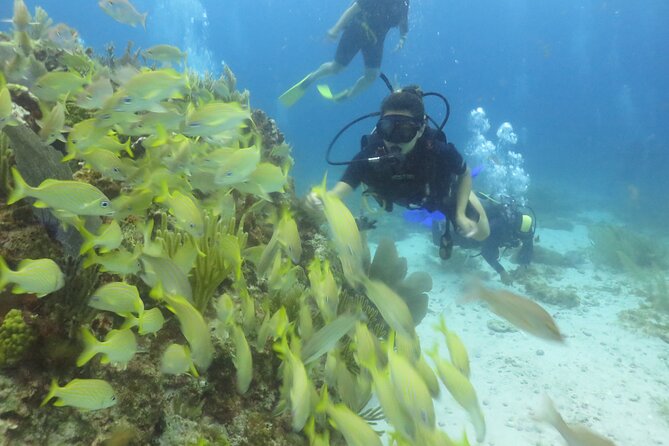 Scuba Diving (1st time) in Cancun Beginner's WELCOMED! - Stop 1 at MUSA: Underwater Statues, Easy Wonder, Good Learning Terrain