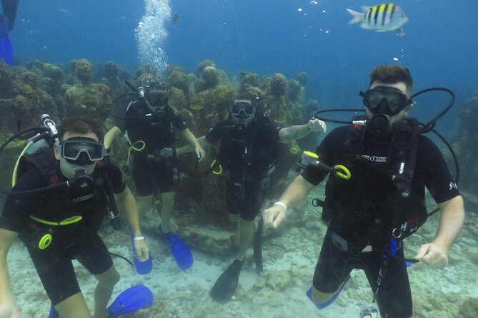 Scuba Diving (1st time) in Cancun Beginner's WELCOMED! - Stop 2 at the MesoAmerican Reef: Wildlife Time and a Change of Pace