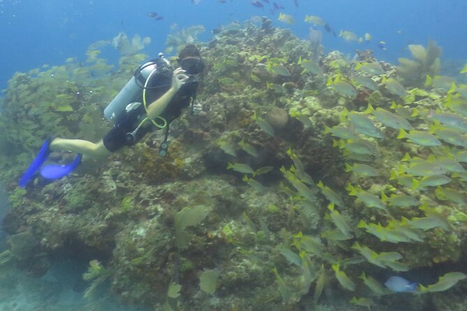 Scuba Diving (1st time) in Cancun Beginner's WELCOMED! - Safety and the PADI Health Questionnaire: The Non-Negotiables
