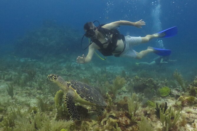 Scuba Diving (1st time) in Cancun Beginner's WELCOMED! - Packing Tips and First-Timer Game Plan