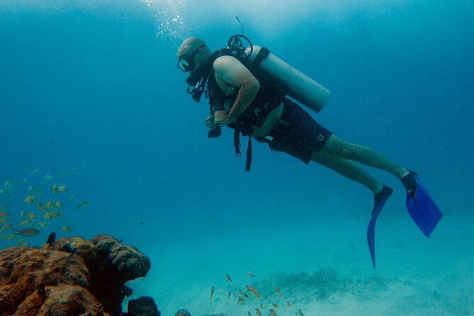 Scuba Diving (1st time) in Cancun Beginner's WELCOMED! - Timing, Meet-Up, and What the Day Feels Like