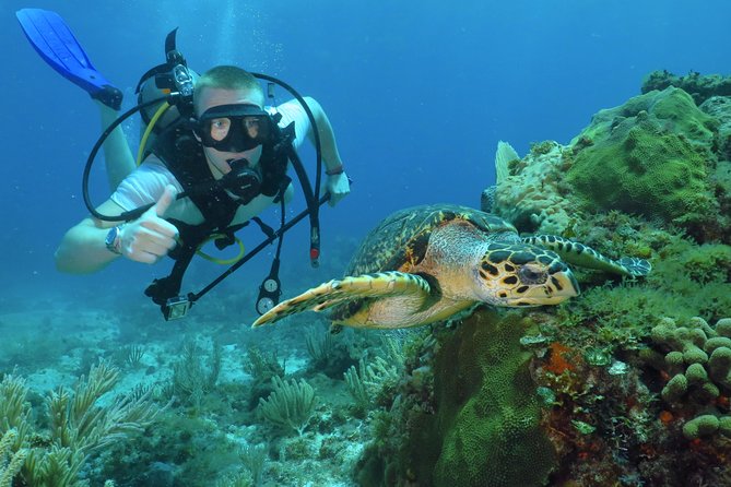 Scuba Diving Under Water Museum and Reef for beginners - A 5-Hour First-Time Scuba Schedule in Cancun (What Your Day Looks Like)