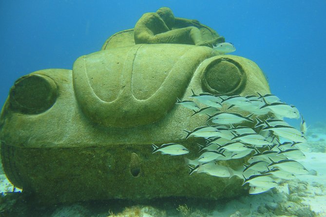 Scuba Diving Under Water Museum and Reef for beginners - PADI Instructors and One-on-One Coaching That Helps You Stay Calm