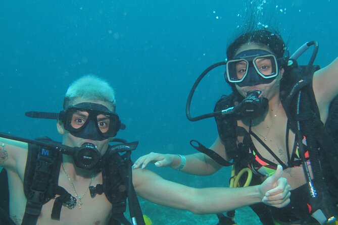 Scuba Diving Under Water Museum and Reef for beginners - Who This Experience Fits Best (And Who Should Think Twice)