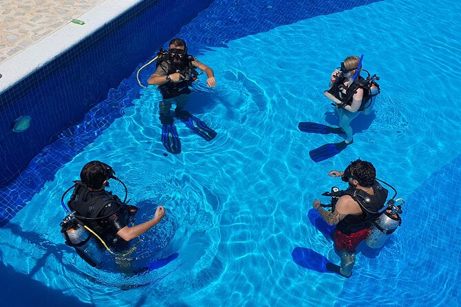 Scuba Diving Under Water Museum and Reef for beginners - Should You Book This Beginner Underwater Museum and Reef Tour?