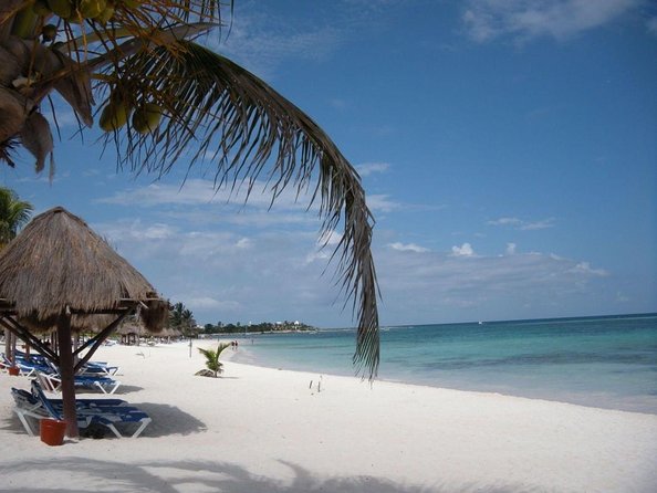 Sea Turtle Snorkeling Ecofriendly Tour from Cancun & Riviera Maya - Key highlights to look for