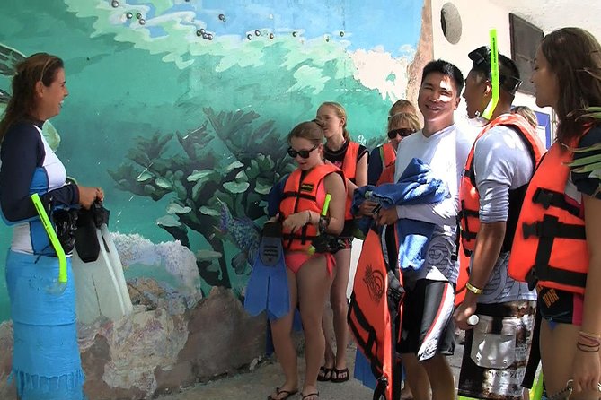 Sea Turtle Snorkeling Ecofriendly Tour from Cancun & Riviera Maya - Akumal sea turtles: where you’ll look and what “seeing them” really means
