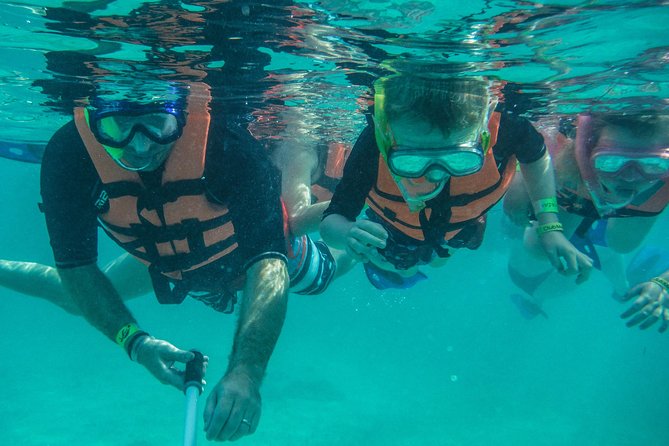 Sea Turtle Snorkeling Ecofriendly Tour from Cancun & Riviera Maya - La Ruta de los Cenotes: what the cenote stop adds (and what it costs you)