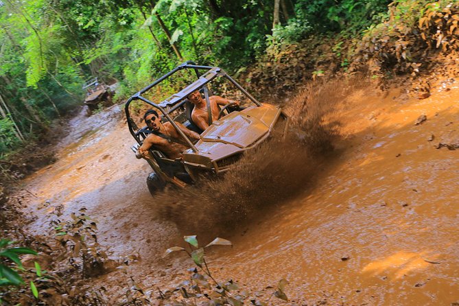Selvatica Adventure Park ATV and Ziplines in Cancun and Riviera Maya - Tarzania Zipline Coaster: Where Speed Feels Like a Rollercoaster