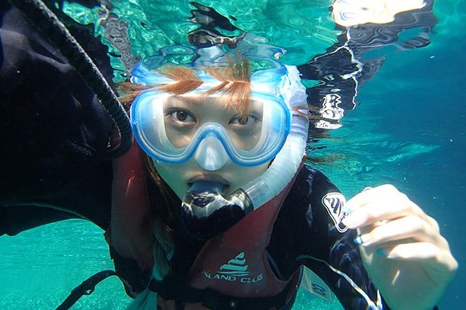 Small-Group Mesoamerican Barrier Reef Snorkeling in Puerto Morelos - Key things to know before you snorkel the Puerto Morelos reef