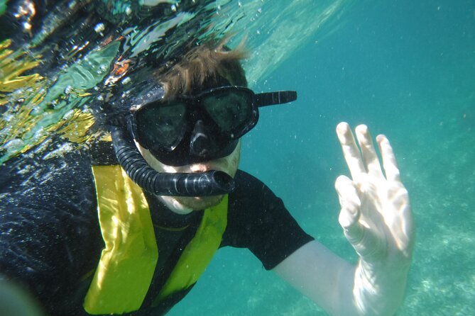 Small-Group Mesoamerican Barrier Reef Snorkeling in Puerto Morelos - Stop 2: Wet Set crew’s second reef pass (more animals, less crowd pressure)