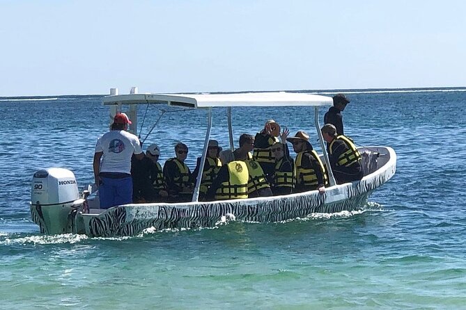 Small-Group Mesoamerican Barrier Reef Snorkeling in Puerto Morelos - The marine life you can realistically hope to see