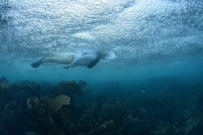 Snorkel, ATV, Zipline and Cenote Adventure from Cancun - Cenote Swimming and Cliff Jumps: The Cool-Down That Makes the Day Worth It