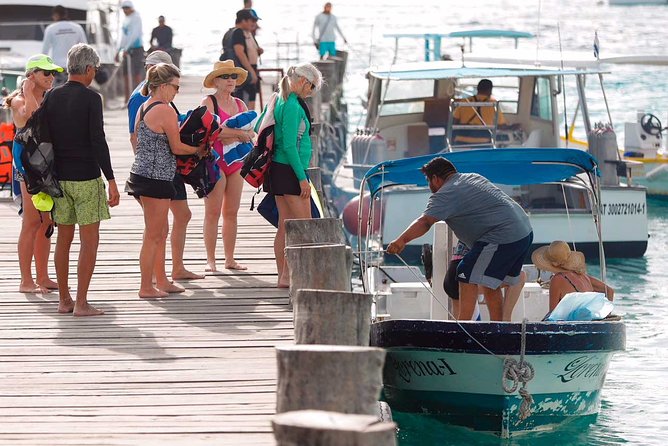 Snorkel in the second largest reef in the world Colorful tour in Puerto Morelos - The 5-hour schedule that keeps the day from dragging