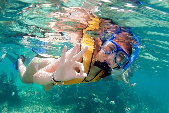 Snorkel in the second largest reef in the world Colorful tour in Puerto Morelos - Beach club snacks, tequila tasting, and the Puerto Morelos walk