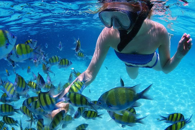 Snorkel in the second largest reef in the world Colorful tour in Puerto Morelos - Photo packages and souvenir shopping: where the tone can change