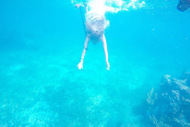 Speed Boat & Snorkel Tour with transportation ( only Cancun zone area) - Transportation and meeting point: the Cancun Hotel Zone rule