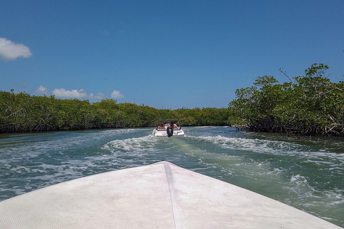 Speedboat and snorkel tour: Single Passenger Boat - Driving your own speedboat: the real appeal (and the reality check)