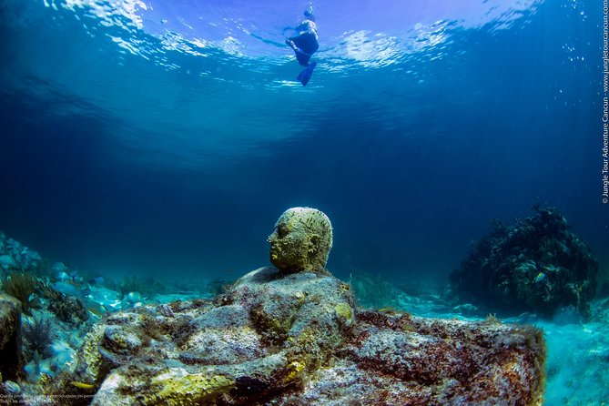 Speedboat and snorkel tour: Single Passenger Boat - Snorkeling stop: coral reefs and the Cancun Underwater Museum