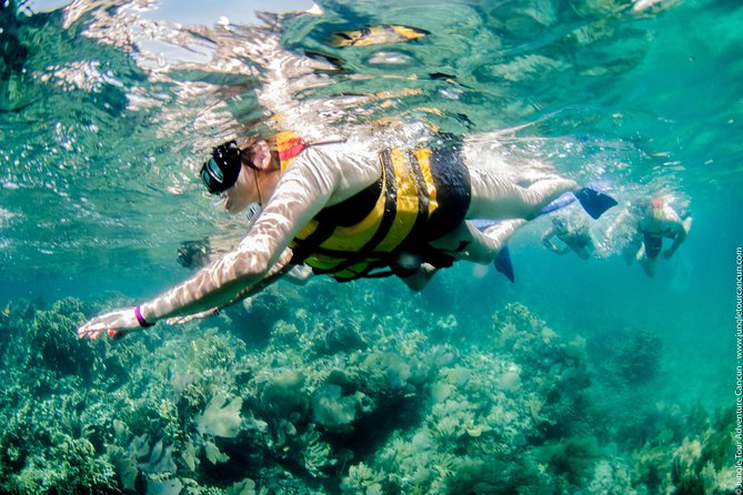Speedboat and snorkel tour: Single Passenger Boat - Pace, access, and why small-group boat time feels better