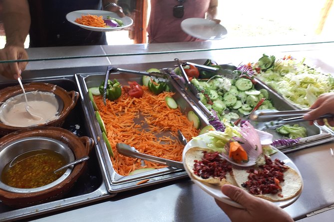 Tour from Cancun to Chichen Itza with cenote food and Valladolid - Price and logistics: where value is good and where costs add up