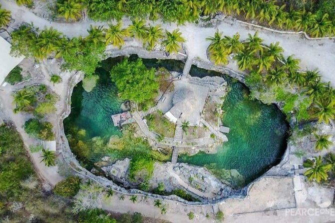 Tulum Ruins visit cenotes house turtle and Sculpture Come to Light - Stop 4: Playa del Carmen’s Quinta Avenida in one focused hour