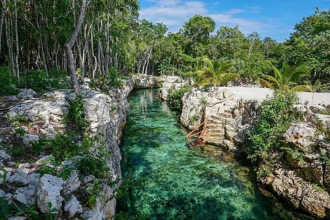 Tulum Ruins visit cenotes house turtle and Sculpture Come to Light - Transport reality check: pickup loops, crowding, and late-day surprises