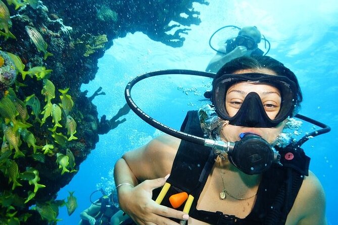 Two Dives and Class for Begginers Divers in Cancun - Key highlights worth your attention