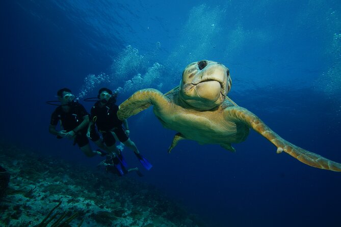 Two Dives and Class for Begginers Divers in Cancun - Medical screening and the flight rule you should not ignore