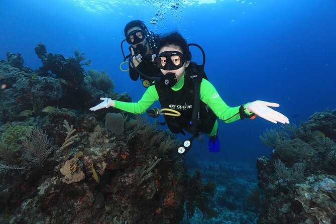 Two Dives and Class for Begginers Divers in Cancun - Tank session at MUSA: underwater art that also functions like a reef
