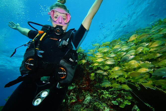 Two Reefs For Certified Divers in Cancun - Key things I think are worth your attention