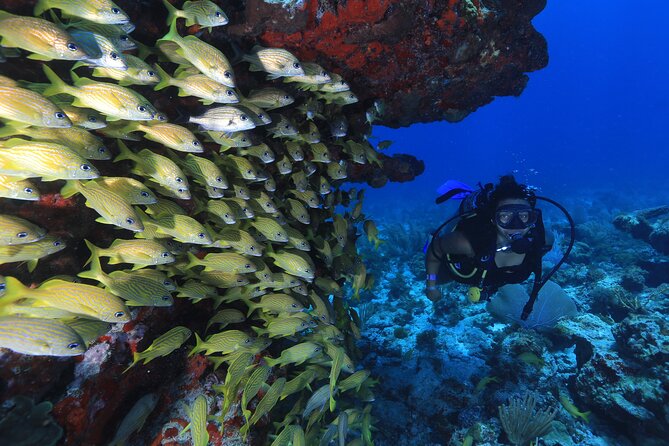 Two Tanks Scuba Diving for Beginners in Cancun - Boat Morning: What Happens Between Check-In and Open Water