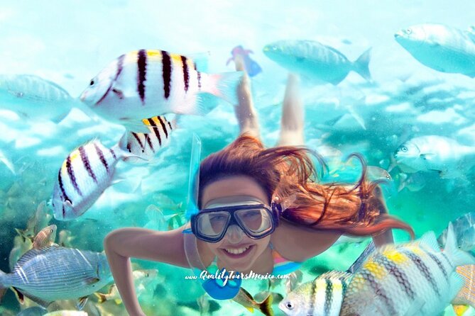 Xelha water park with transportation - Unlimited snorkeling and the gear you’ll use (plus mask advice)
